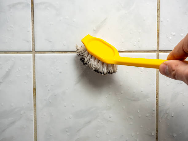 Best Fast Mold Removal  in Cypress, CA