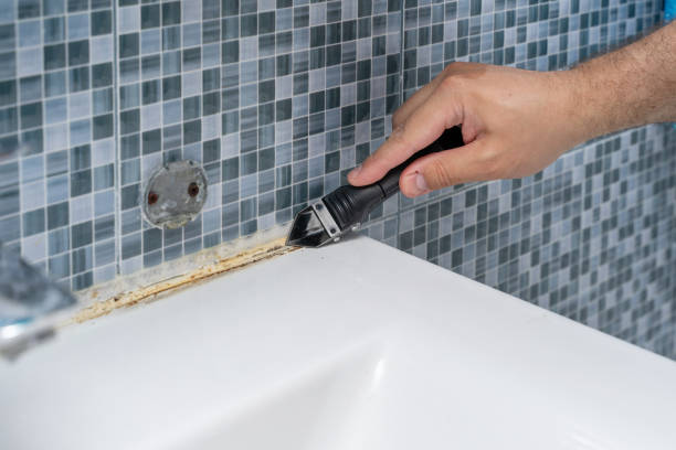 Best Mold Removal Near Me  in Cypress, CA
