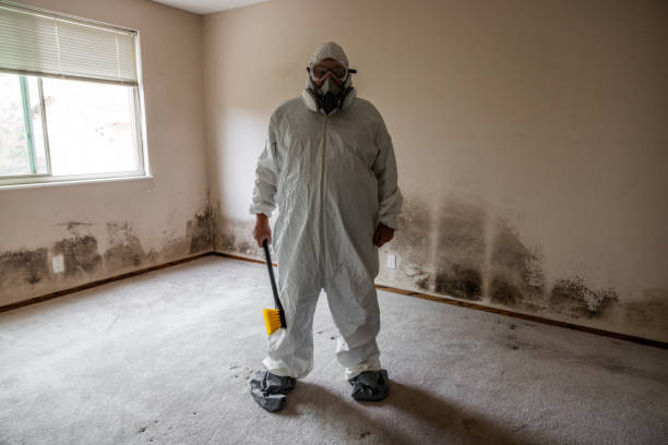 Best Professional Mold Removal  in Cypress, CA